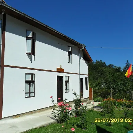 House Sheila Гостевой дом Plachkovtsi