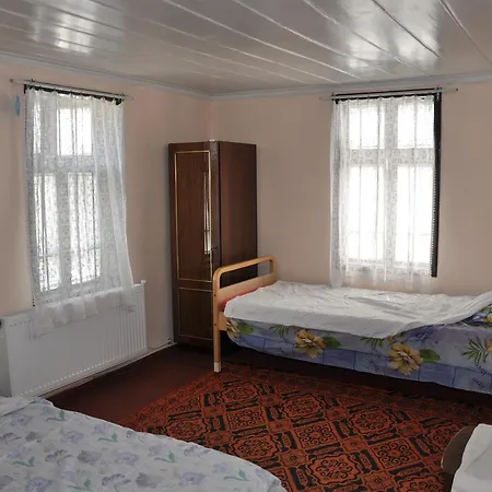 House Sheila Гостевой дом Plachkovtsi